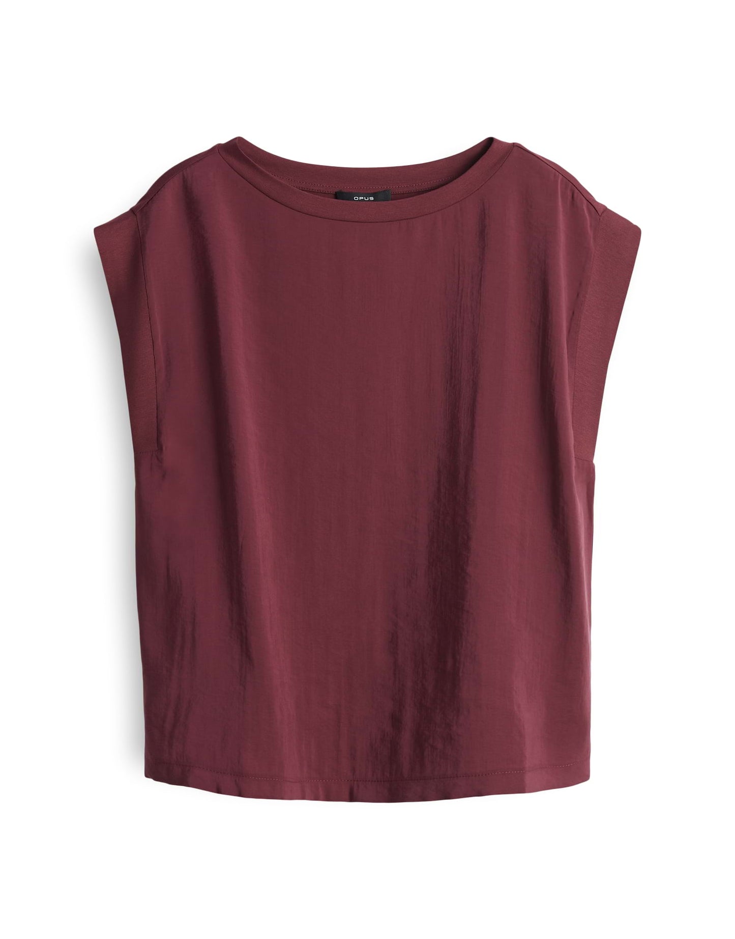 Silkisi cassis Bild 1