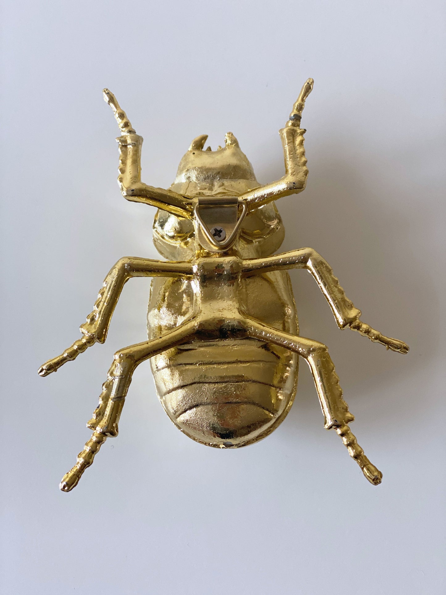 Beetle Camy L11cm