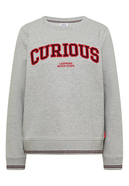 Sweatshirt mit Rundhals und Stickerei light grey melange Bild 1