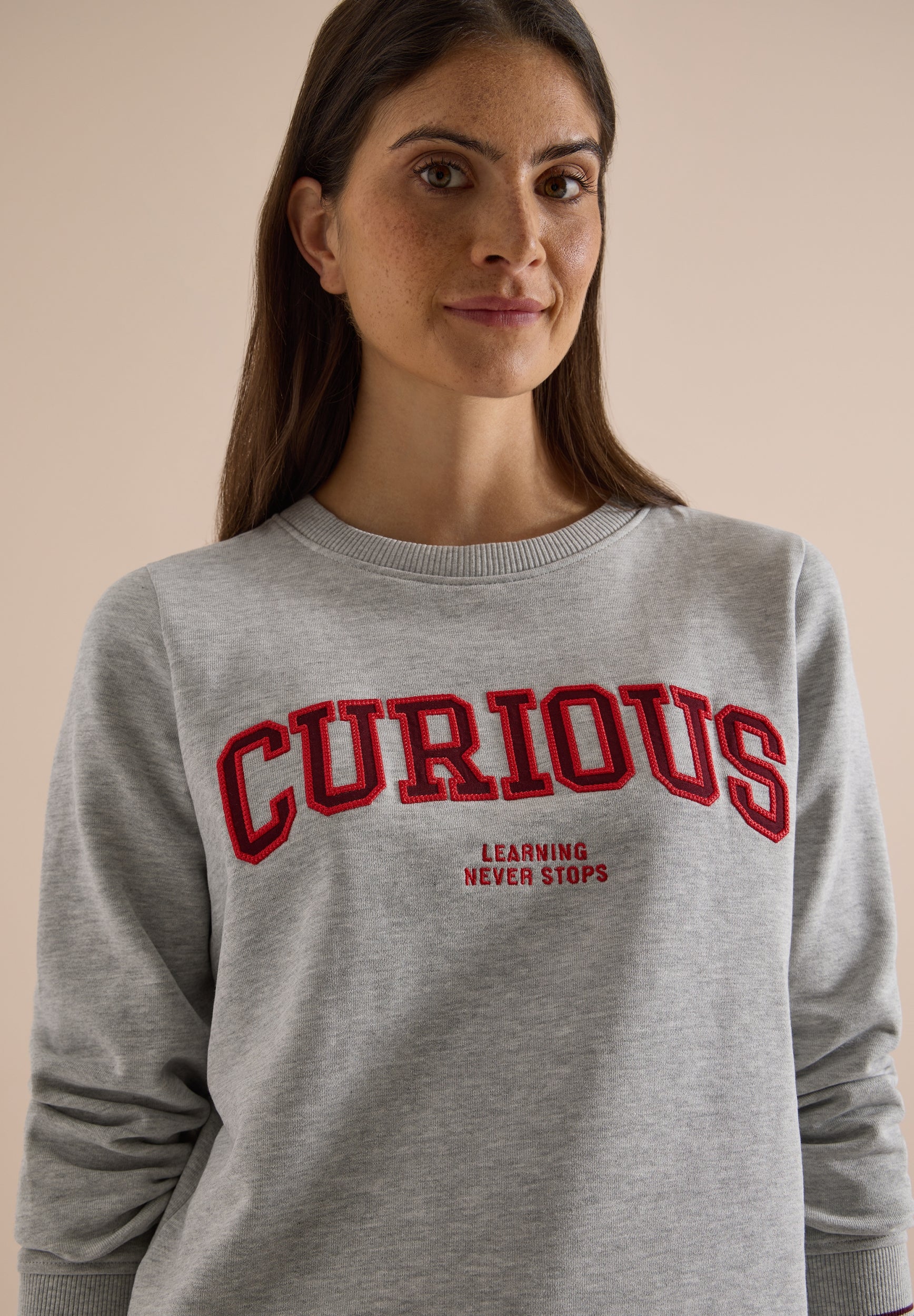 Sweatshirt mit Rundhals und Stickerei light grey melange Bild 6