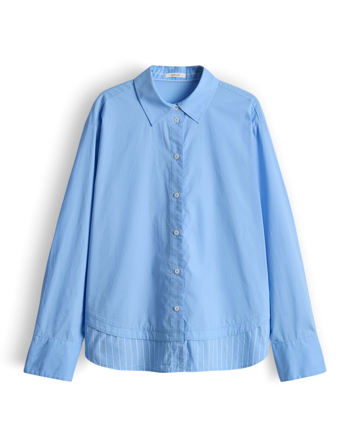 Favia water blue Bild 1