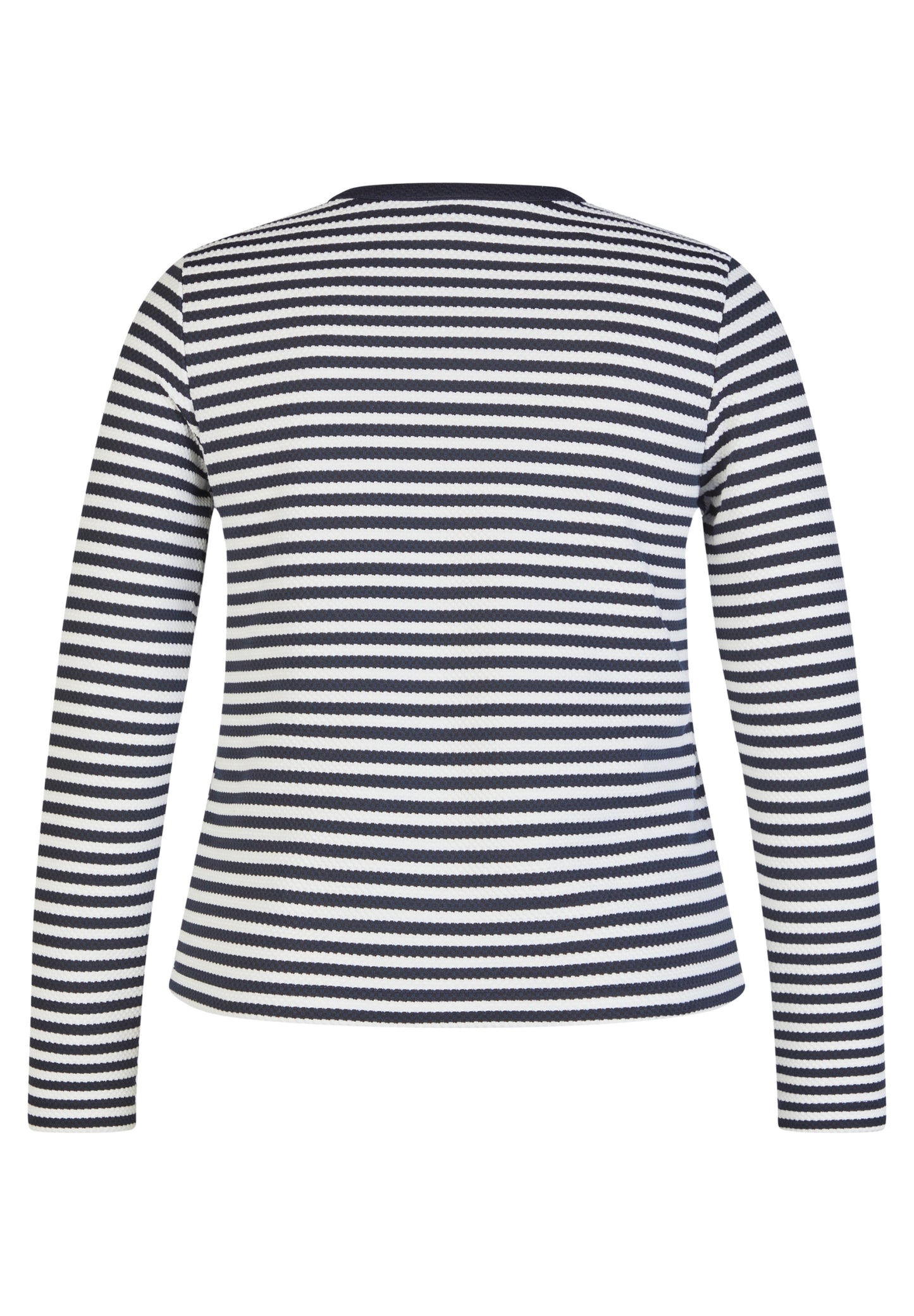 Butterfly Pazifik Bild 11