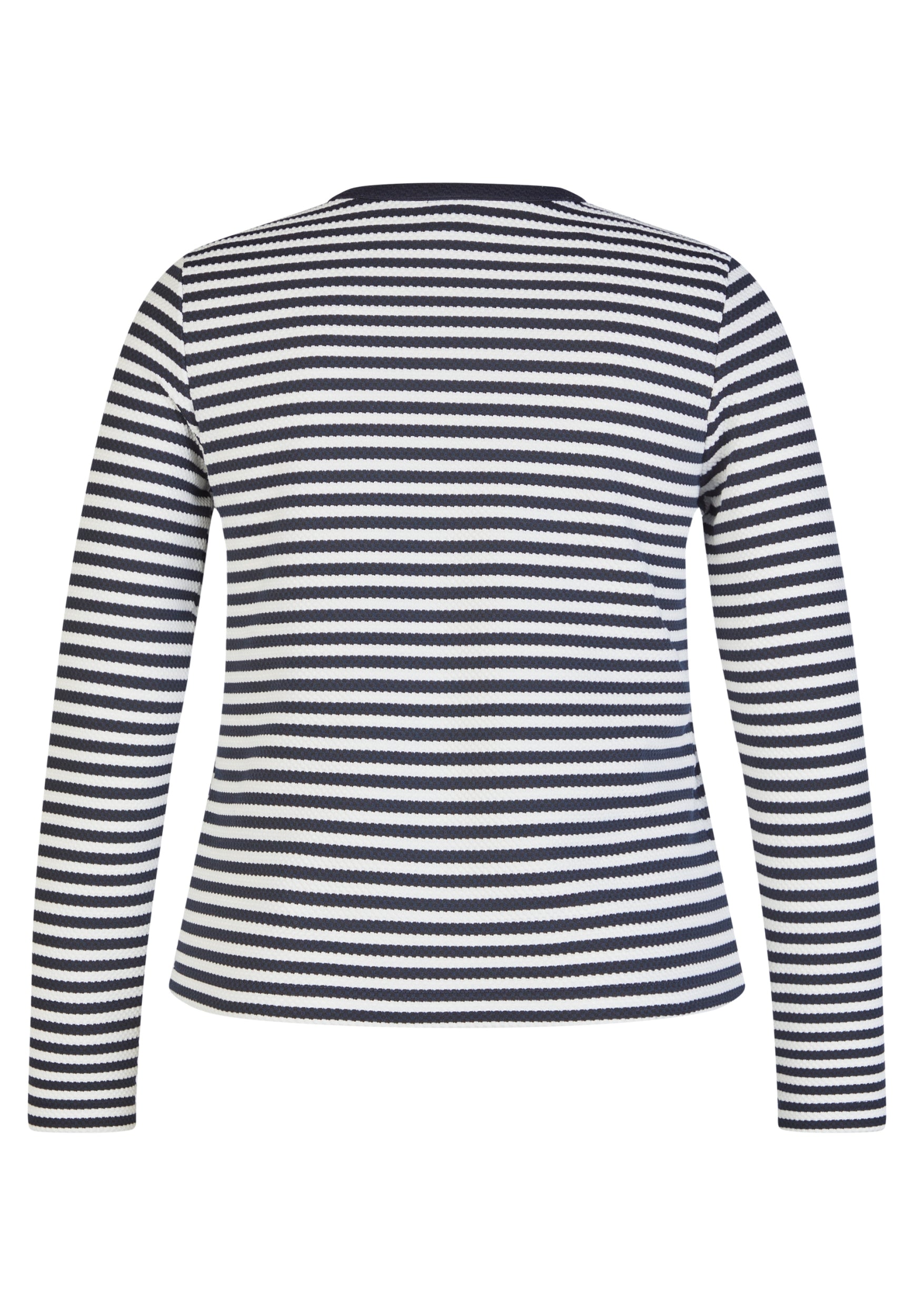 Butterfly Pazifik Bild 11