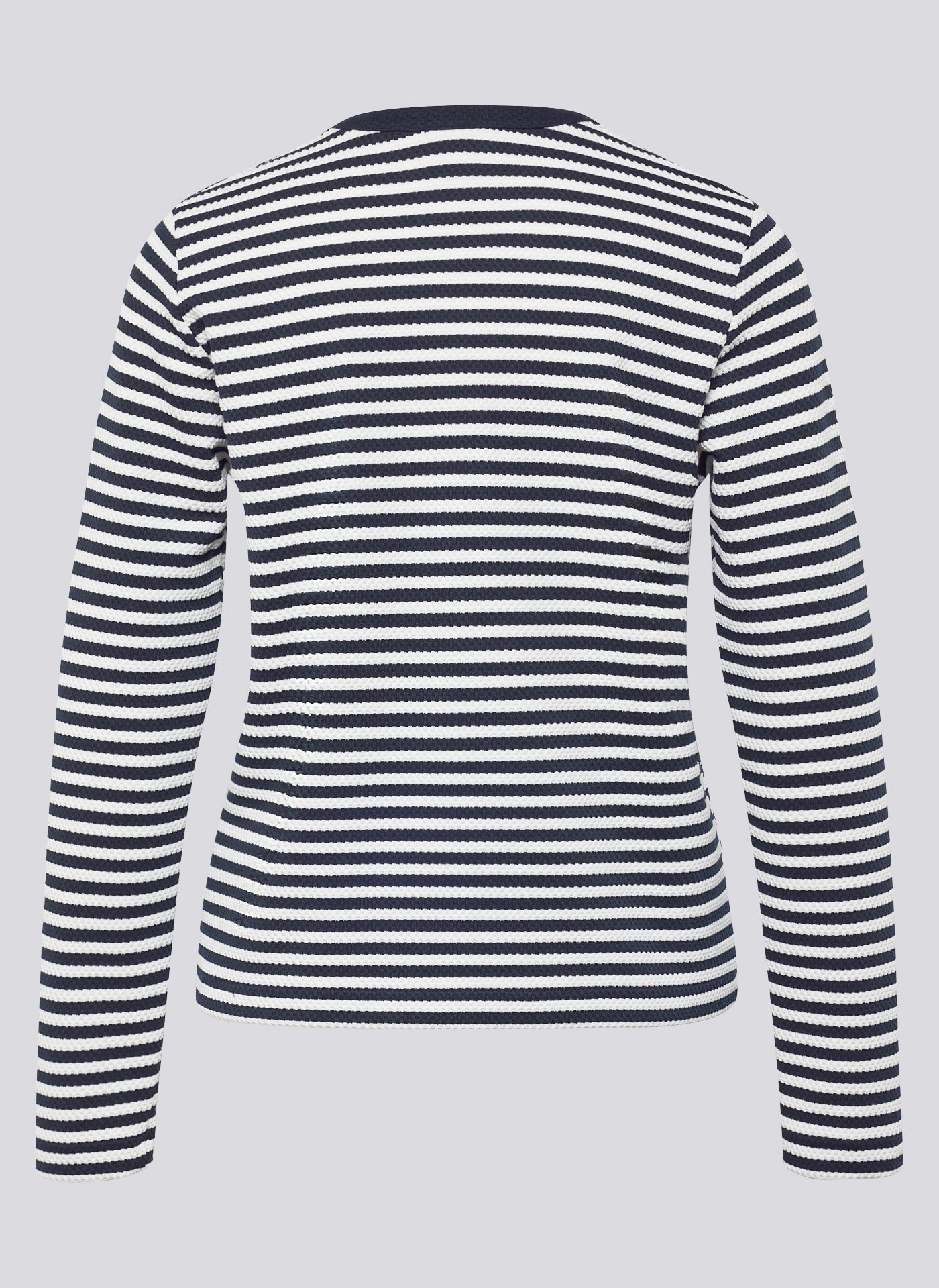 Butterfly Pazifik Bild 8