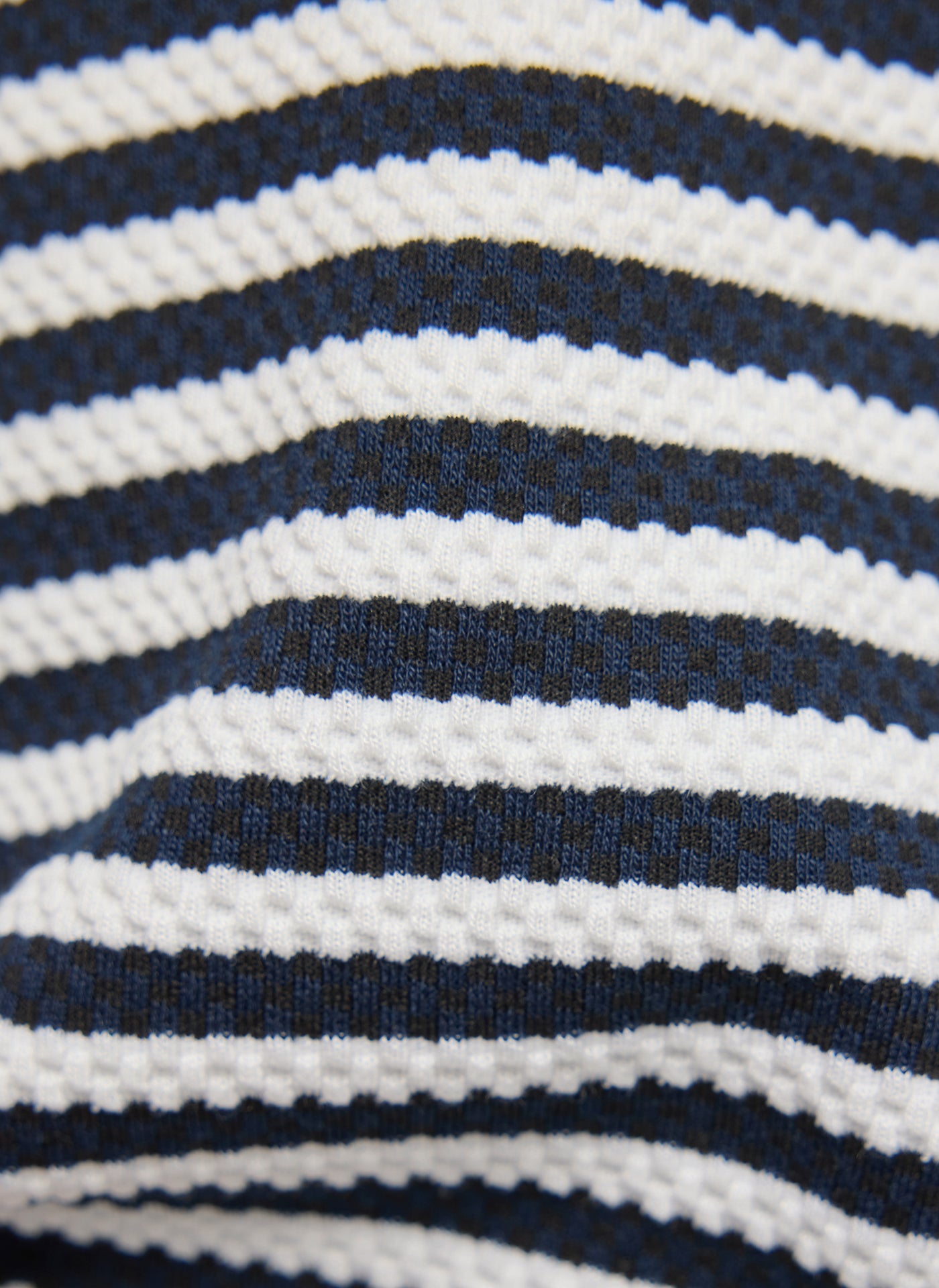 Butterfly Pazifik Bild 9