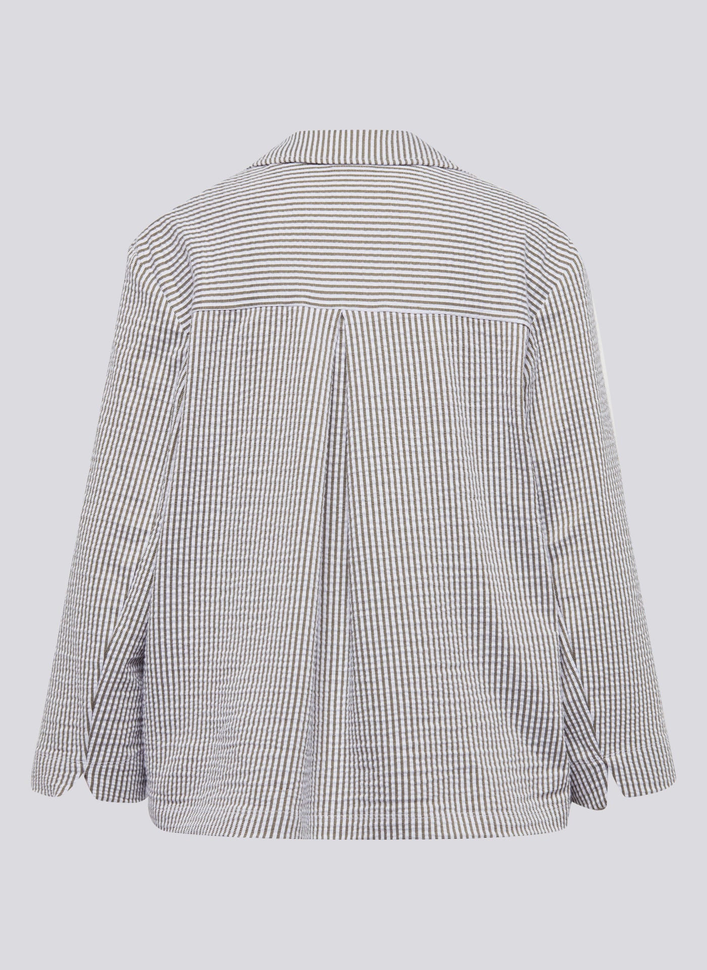 New Tropical Eukalyptus Bild 8