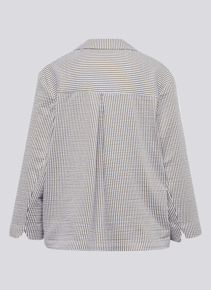 New Tropical Eukalyptus Bild 8