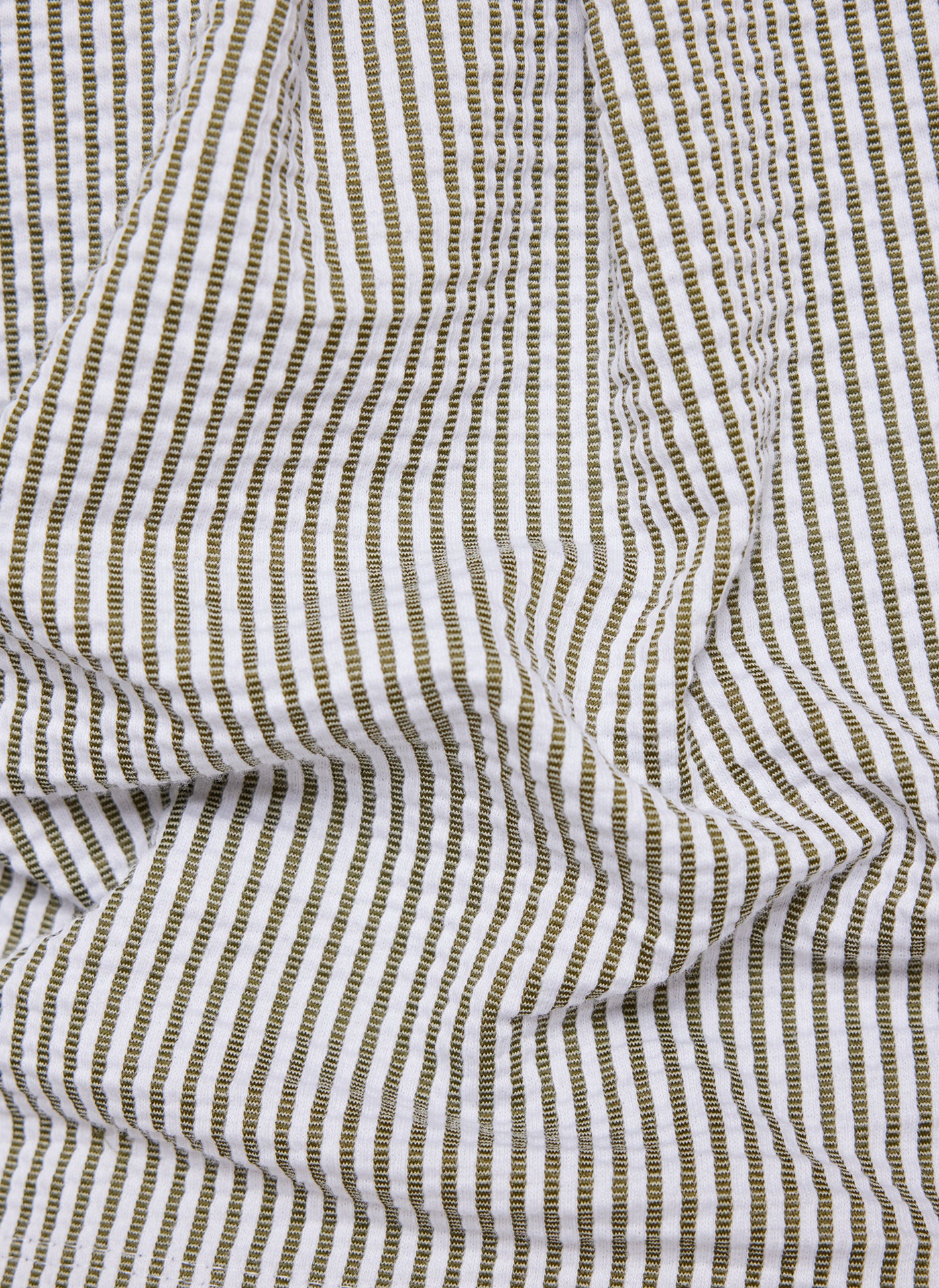 New Tropical Eukalyptus Bild 9